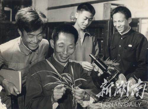kaiyun sports-“杂交水稻之父”走了，留给我们无尽的思念